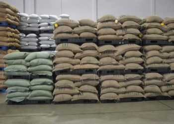 China’s Growing Coffee Demand Opens Fresh Export Opportunities for Africa