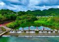China’s Ecological and Environmental Code: Original value and global contributions