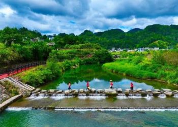 China’s Ecological and Environmental Code: Original value and global contributions