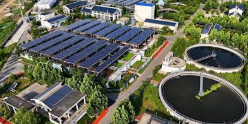 China advances ecological governance under the rule of law