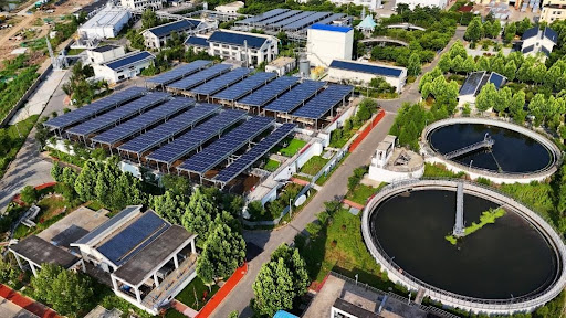 China advances ecological governance under the rule of law