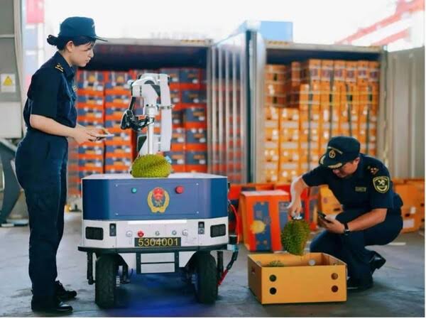 APEC cooperation delivers tangible benefits to daily life