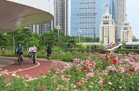 Over 200 million green mobility trips made daily in China