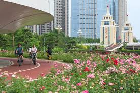 Over 200 million green mobility trips made daily in China
