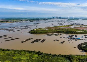 Pinglu Canal opens new channel for China-ASEAN connectivity